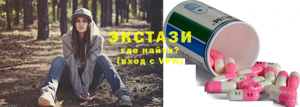 шишки Гусиноозёрск