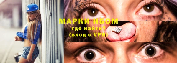 амф Гусь-Хрустальный