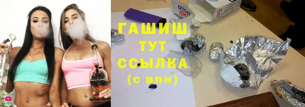амф Гусь-Хрустальный