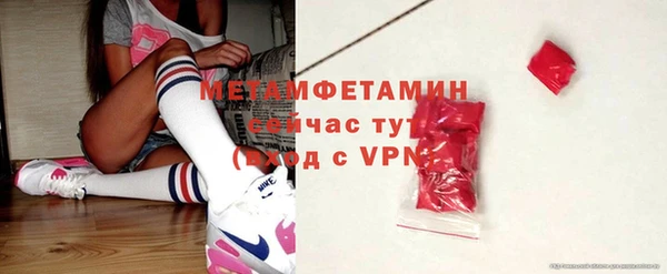 шишки Гусиноозёрск