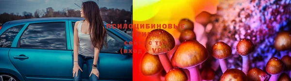 каннабис Гусев
