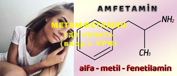 амф Гусь-Хрустальный