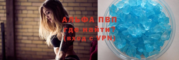 шишки Гусиноозёрск