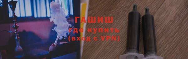 шишки Гусиноозёрск