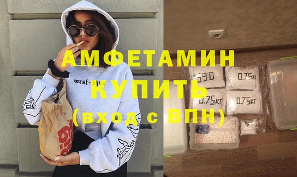 шишки Гусиноозёрск