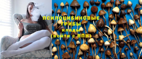 Альфа ПВП Горнозаводск