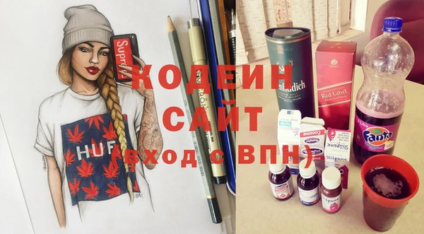 шишки Гусиноозёрск