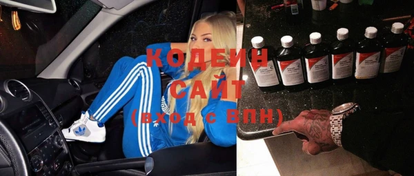 шишки Гусиноозёрск