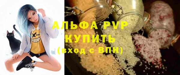 амф Гусь-Хрустальный