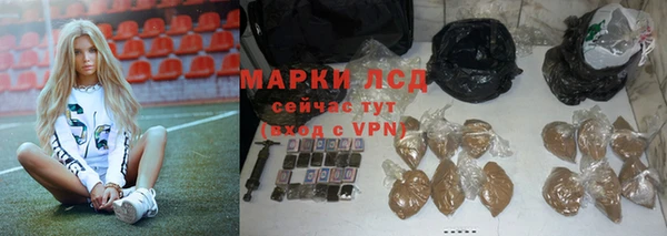 амф Гусь-Хрустальный
