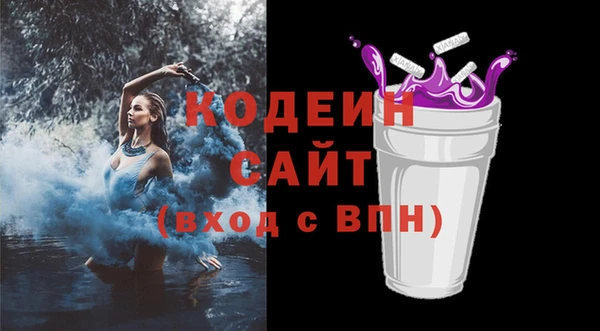 шишки Гусиноозёрск