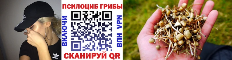 наркошоп  Онега  Галлюциногенные грибы прущие грибы 
